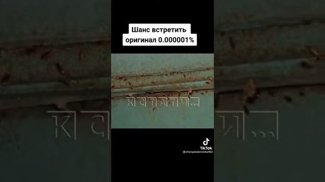 Шанс встретить оригинал 0,00001% смотреть онлайн