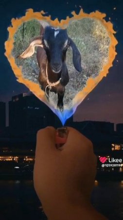 мой любимый козлик 🐐🐐🐐🐐🐐 🐐🐐🐐🐐🐐🐐🐐🐐🐐🐐🐐🐐🐐🐐🐐🐐🐐🐐🐐🐐🐐🐐🐐🐐🐐🐐🐐👌🐐🐐🐐🐐🐐🐐🐐
