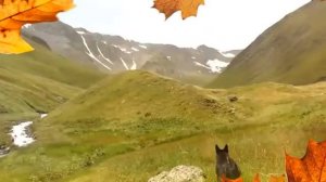 даргинская песня Патюля