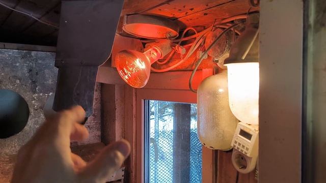 Обогрев курятника ИК лампой - что произойдёт, если лампа лопнет или перегорит? смотреть онлайн