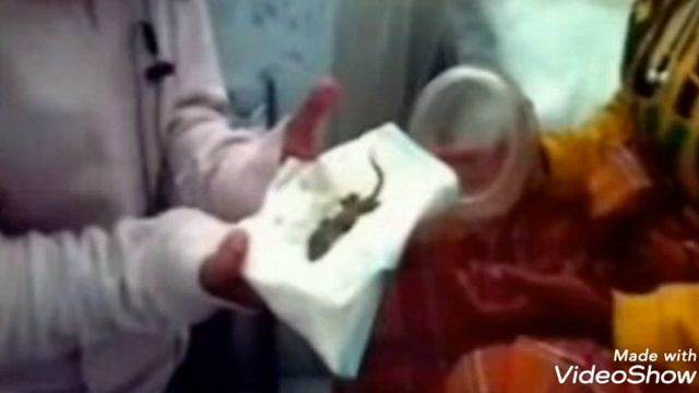 Зани ҳомила калтакалос тавалуд кард! ДАҲШАТ!!! 😱😱😱 смотреть онлайн