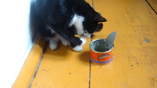 голод не тётка смотреть онлайн