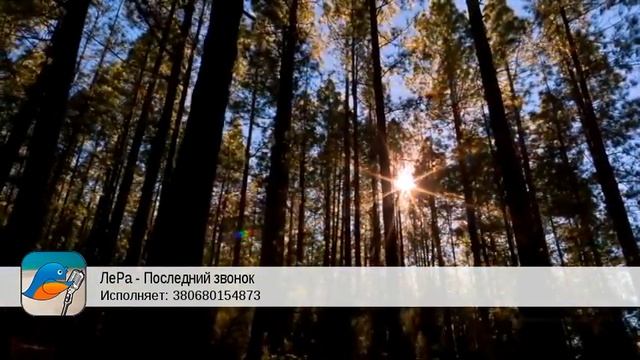 ЛеРа - Последний звонок (380680154873) смотреть онлайн