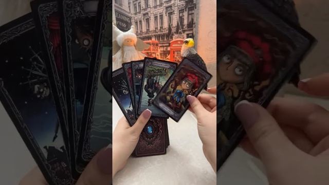 Margo_taro в прямом эфире!Вопрос ответ ДА/НЕТ 💜 смотреть онлайн