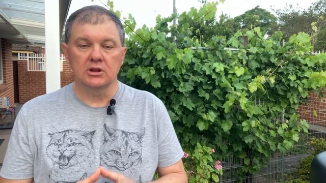 ЛУЧШАЯ ШКОЛА АНГЛИЙСКОГО ЯЗЫКА ДЛЯ ВАС. [#1Australia]#5819 смотреть онлайн