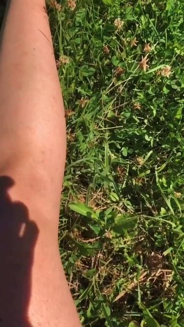 вспомним лето 😢 #онлайншкола #language4life #французский #иностранныеязыки#лето смотреть онлайн