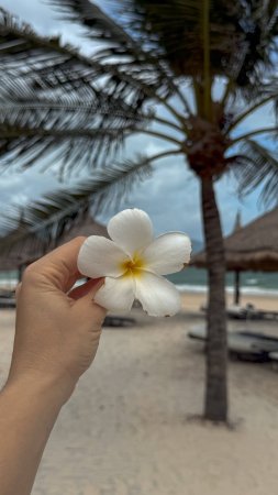 Горячие источники с водопадом. Нячанг