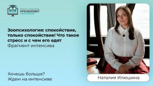 Фрагмент интенсива по зоопсихологии “Стресс питомцев”, лектор Наталия Илюшина