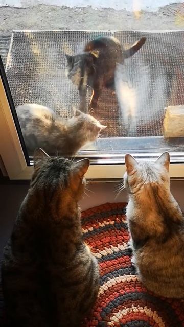 Остросюжетный сериал. смотреть онлайн