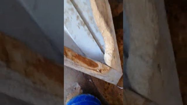 Как мы дурачимся во время каникул🤪 смотреть онлайн