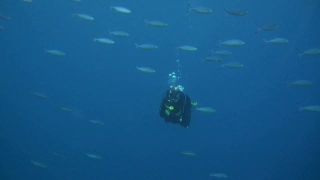 Дайвинг в Дахабе. Машраба. 09.05.2016 смотреть онлайн