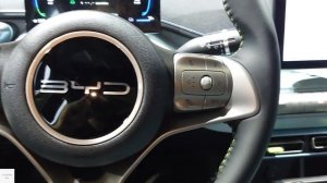 2025 BYD Seagull EV (2025 BYD Dolphin Mini) / In-Depth Walkaround Exterior & Interior