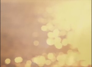 Агенда. Опыты Матери. 3 февраля 1958 года. Супраментальный корабль