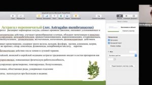 Кошачий коготь НСП