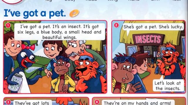 Fly High 2. Сторінка 54. I've got a pet смотреть онлайн