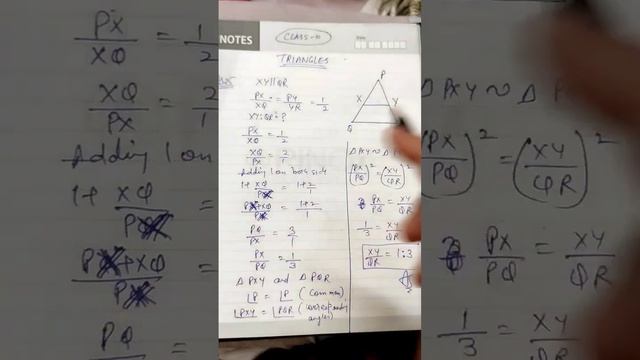 MCQ or question || triangles || class 10 || maths || @knowledgeofmaths9220