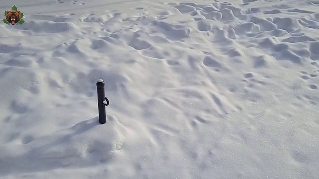 Дуб Пугачева 3. финал смотреть онлайн