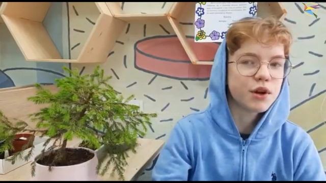 Проект "КОМНАТНЫЕ РАСТЕНИЯ и ЗДОРОВЬЕ УЧАЩИХСЯ"