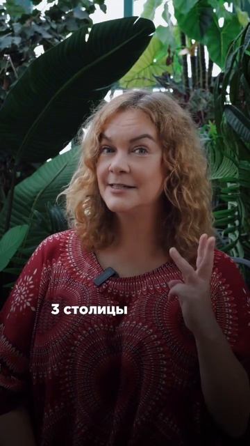 В какой стране 3 столицы и 11 государственных языков? смотреть онлайн