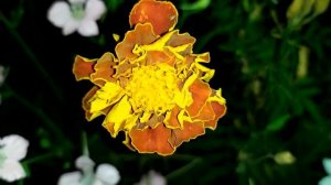 Знахарь. Одержимость 7 - 8 серия 2 сезон (сериал 2021)