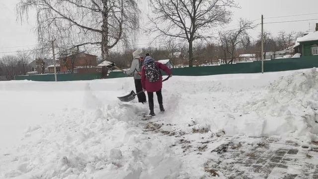 Михаил Шолохов биография