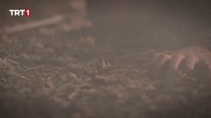 "Барбароссы. Меч Средиземноморья 45 серия русская озвучка смотреть онлайн на русском языке" (2023)