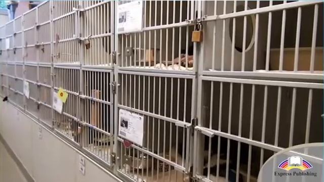 Action 10. Module 6.(2) смотреть онлайн