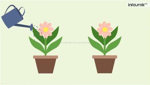 живая и не живая природа