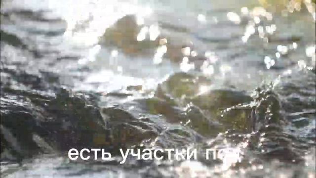 11777857 11777668 11772795