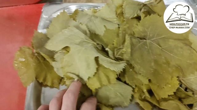 Долма с рисом #шефроссия смотреть онлайн