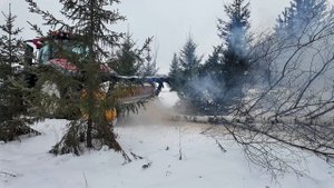 Уничтожил дерево на корню мульчером на тракторе Vatra