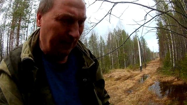 Сборка берёзового сока продолжается. берёзовый сок смотреть онлайн