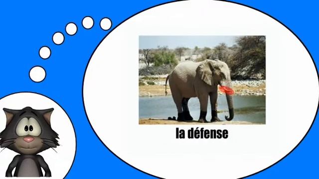 Курсы французского языка = слона смотреть онлайн