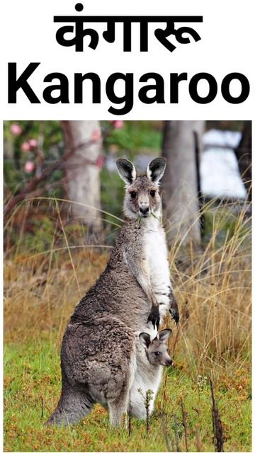 #englishwords #wordmeaning #englishvideo #englishspeaking #englishsentence #spokenenglish смотреть онлайн