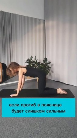 Упражнение для тазового дна и плоского живота
