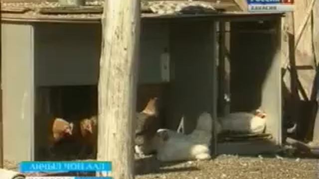 1 Хабарлар ГТРК Хакасия