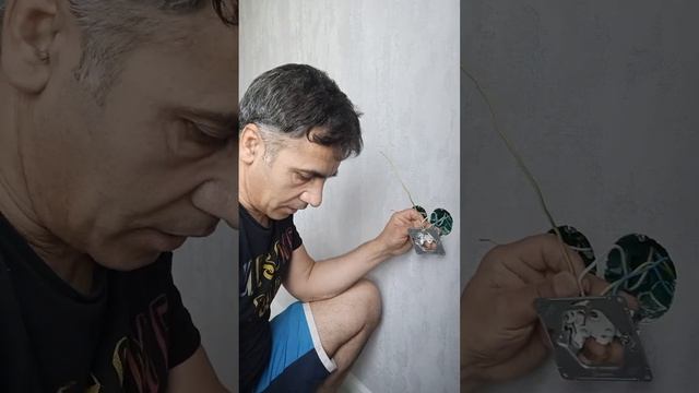 КАК ПОДКЛЮЧИТЬ , розетку и включатель