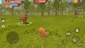 Бесконечный спавн МУСТАНГОВ В WildCraft