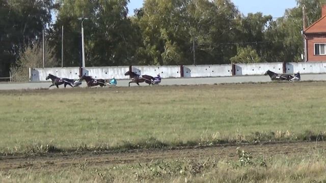 2017. Заезд № 8 (131). 2-й гит. Всероссийский чемпионат женщин-наездниц памяти М.А. Бурдовой. смотреть онлайн