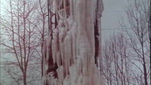 Всесоюзный киножурнал "Фитиль" № 320 1989 г