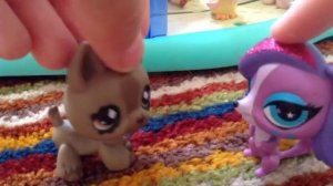 LPS:школа богатых.8 серия.