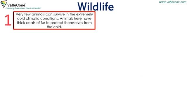 Frigid Zone l Land of Snow Green land l part 2 l class 5 l Social science l temperature zones смотреть онлайн