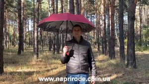 Зонт женский автомат в 3 сложения Flagman 00714-2 красный