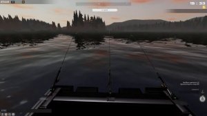 Белоглазка Печора Fisher online