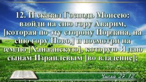 ВидеоБиблия Книга Числа без музыки глава 27 Соколов