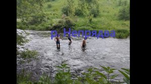 Найдено место Куликовской битвы на Дону