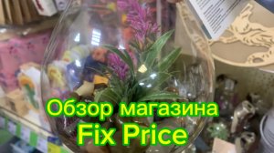 Обзор магазина Fix Price