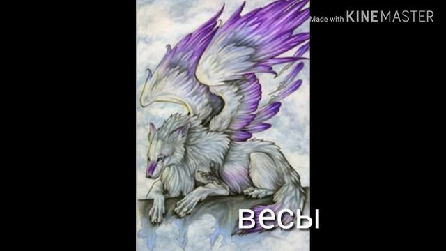 Какой ты волк по знаку зодиака