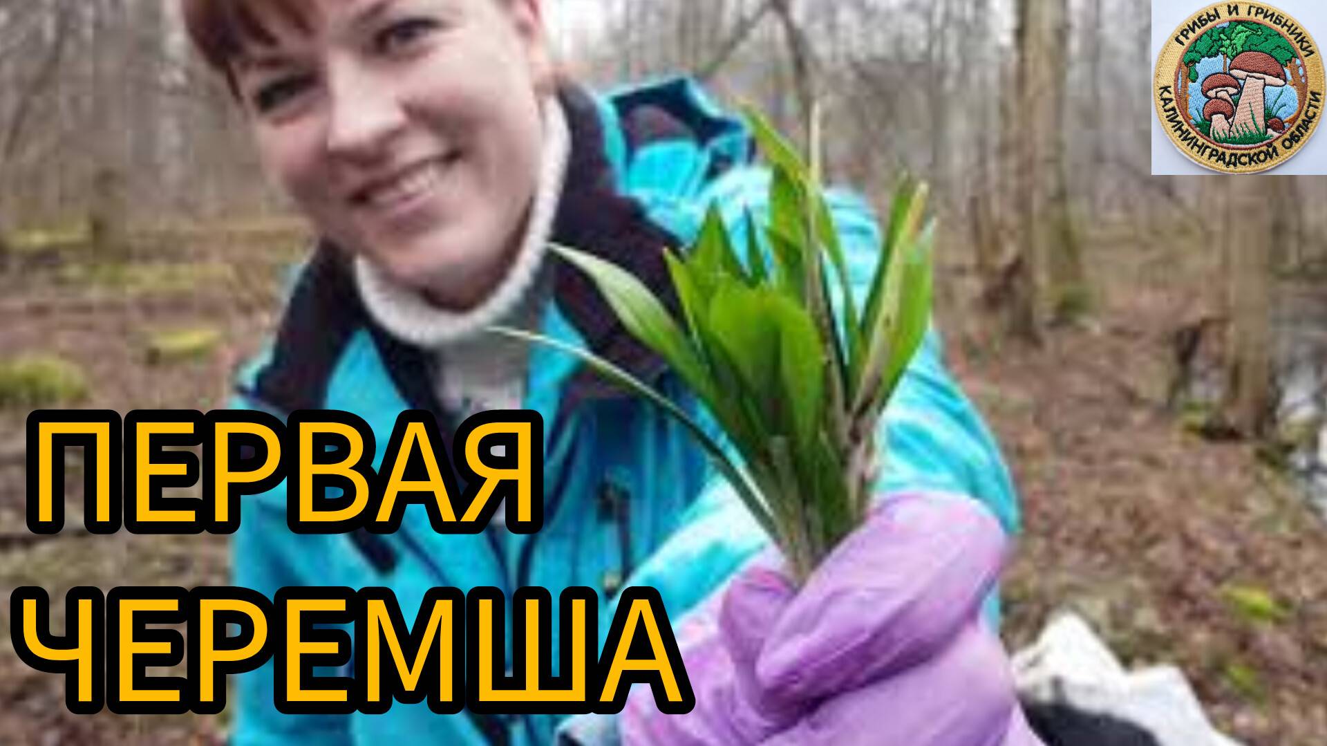 Открытие сезона. НАША ПЕРВАЯ ЧЕРЕМША. Природа весной