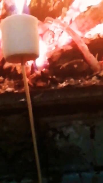 #пухлый #кролик #marshmallows #воздушный #суфле
